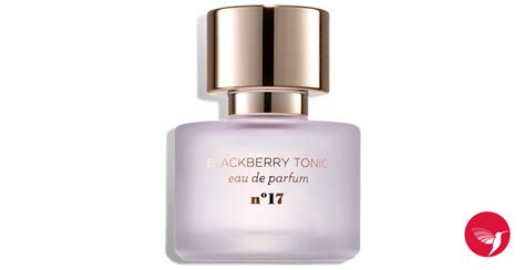 blackberry tonic perfume dupe for|A review of MIX:BAR, the clean fragrance line available at Target..